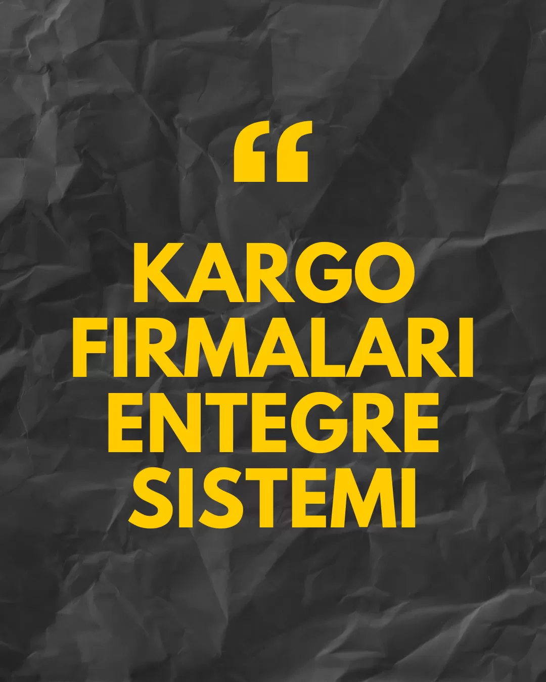 Api Entegrasyonları